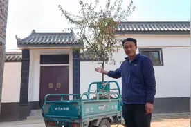 中式小院绿化！花掉整整150元才买到的海棠！栽上一看瞬间后悔了视频封面