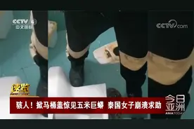 骇人！掀马桶盖惊见五米巨蟒 泰国女子崩溃求助视频封面