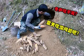 冬笋吃不完怎么办？挖笋老师傅教你个方法，把冬笋留到夏天吃