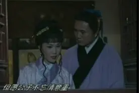 豫剧《泪洒相思地》全剧 李金枝主演视频封面