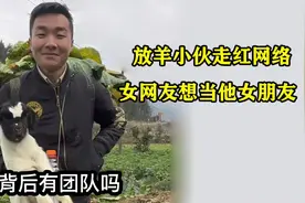 这样也能火？农村小伙拍放羊视频走红，女粉丝在直播间向他表白视频封面
