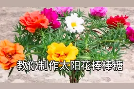 教你制作太阳花棒棒糖，操作简单成型快，整个夏天都会花开不断！视频封面