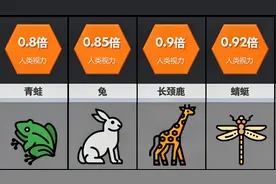做比较：各种动物的视力