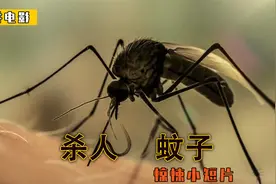 一只蚊子究竟能有多可怕？黑暗科幻短片《清水》视频封面