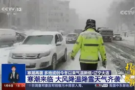 辽宁大连：寒潮来临，大风降温降雪天气齐袭|共同关注视频封面