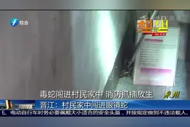 家中突然闯进一条眼镜蛇，蛇长70cm左右，盘踞在卧室的墙角视频封面