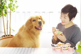一名宠物烘焙师的职业之路视频封面
