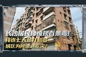 长沙居民楼惊现百条毒蛇，接连七天越打越多，城区为何遭遇蛇灾？视频封面