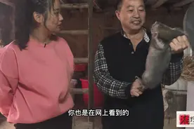 一对种苗350，包回收100元一斤，出一次3000斤，到手就是30万！视频封面