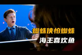 你知道超级英雄那些名梗吗，蜘蛛侠怕蜘蛛，海王喜欢鱼