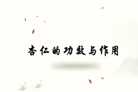 杏仁的功效与作用你了解吗？入药多用苦杏仁，苦温宣肺