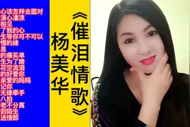 杨美华催泪情歌18首联唱