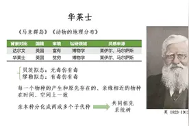 《物种起源》的诞生之华莱士的故事视频封面