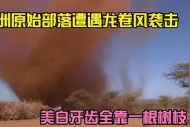 非洲原始部落遭遇龙卷风袭击房倒屋塌，美白牙齿全靠一根树枝
