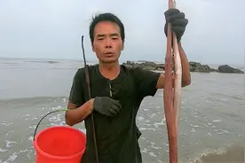 小囿赶海找货捡到鱼，长着尖尖的嘴巴好细长，你知道这是什么鱼吗