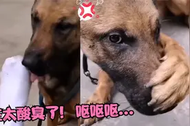 爆笑段子：沙雕日常大盘点，这脚丫实在太酸臭了！笑到肚子疼！视频封面