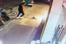 广西一男子无故狠踹路边小猫四脚致其死亡 猫主人：考虑报警处理