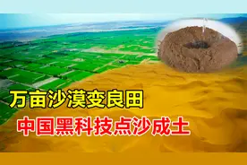 点沙成土？中国沙漠治理终极手段，半年造出三千亩“良田”视频封面