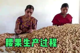腰果生产全过程，虽然没有技术难度，但一半工序男人做不了
