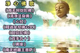 净心佛歌《南无阿弥陀佛》《清净法身佛》《心经》《阿弥陀佛》