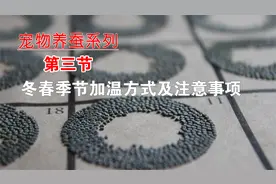 冬天养蚕宝宝的加温方式与注意事项，蚕卵孵化的加温方式视频封面