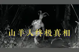 山羊人终极真相，被拍下来的照片是真的吗？