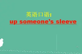 up someone's sleeve不是“在某人的袖子上”的意思