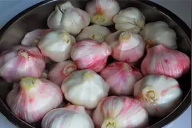 新鲜大蒜出炉，教你腌制清脆爽口的酱大蒜，讲解详细，做法不繁琐