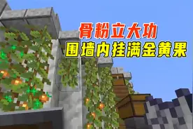 1.18生存40：骨粉立大功，老迪的围墙内部挂满了金黄的果子