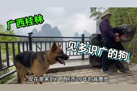 摩旅广西桂林阳朔，来到兴坪古镇，带富贵去打卡20元人民币取景地视频封面