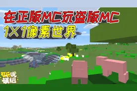 我的世界：在正版MC里玩盗版MC，一个方块就只有一种颜色！视频封面