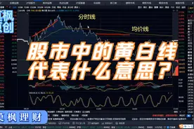 炒股干货：新手小白必学，股市中黄白线代表什么意思？如何运用？视频封面