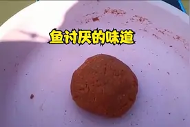 常钓淡水鱼最讨厌的三种味道，鱼闻到后会逃离，用饵时要注意