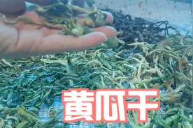 黄瓜干的制作方法，晒干后炒肉吃又脆又香，实拍操作流程视频封面