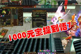 天龙八部怀旧服：1000元宝悟性从0提到7，体力资质直接涨了300