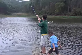 农村散养土鸭子太难抓？试试小伙这一招，太实用了！