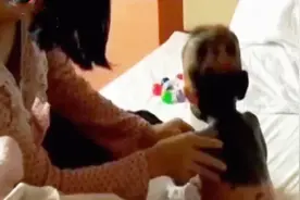 小宝宝的皮肤黑一块白一块 黑色皮肤上面还长着毛 就像熊猫一样视频封面