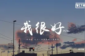 刘大壮 - 我很好 (DJ版)「我很好，反正一直都是偶尔被需要」