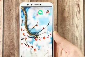 手机这样设置一下，微信里就会隐藏一条蛇，谁偷看它就爬出来