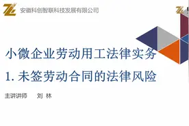 小微企业劳动用工法律实务（1）视频封面