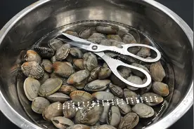 花蛤买回来记得放把剪刀，这个作用太棒了，沙子吐得干净又快速视频封面
