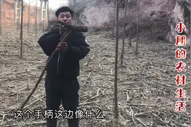 小伙山沟发现极品酸枣木，做成龙头拐杖好看极了，大家觉得怎么样