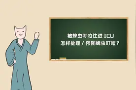 被蜱虫叮咬住进ICU ？怎样处理／预防蜱虫叮咬？视频封面