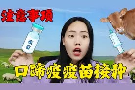 什么牛不能打口蹄疫疫苗？接种时有什么注意事项？两分钟告诉你！视频封面
