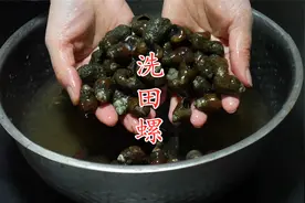洗田螺时，加盐就错了，教你正确做法，田螺迅速把泥沙吐干净视频封面