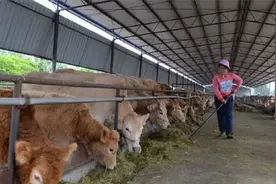 警惕！山东一14岁学生感染炭疽死亡，怎么预防？中疾控提示视频封面