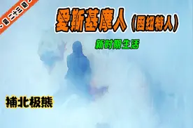 因纽特人巧猎北极熊，一张精美洁白的熊皮，你知道价值多少吗？