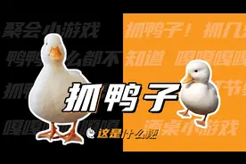 这是什么梗：抓鸭子？嘎嘎嘎嘎嘎嘎嘎嘎嘎