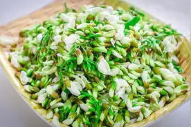 厨师长教你家常蒸槐花做法，不粘连不坨块，一抖就散的技巧就在这视频封面