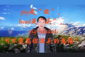 pig是“猪”，head是“头”，pig-headed可不是骂你猪头的意思！